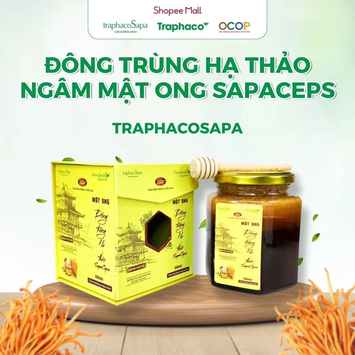 Traphaco Sapa