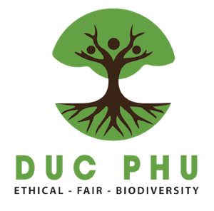 Duc Phu Logo