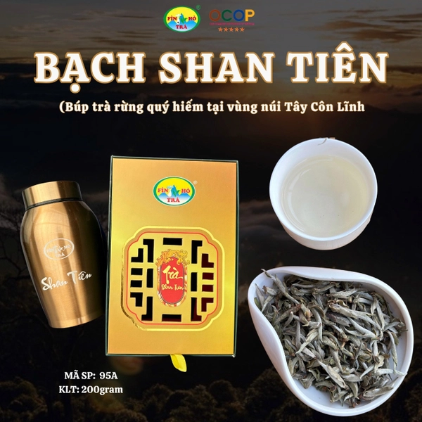 Fin Hồ Tea